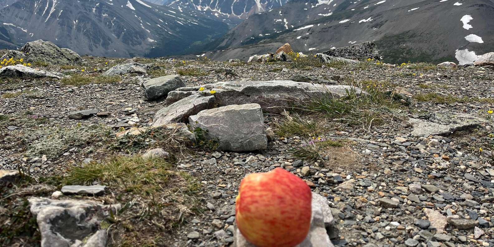 Guest photo from review