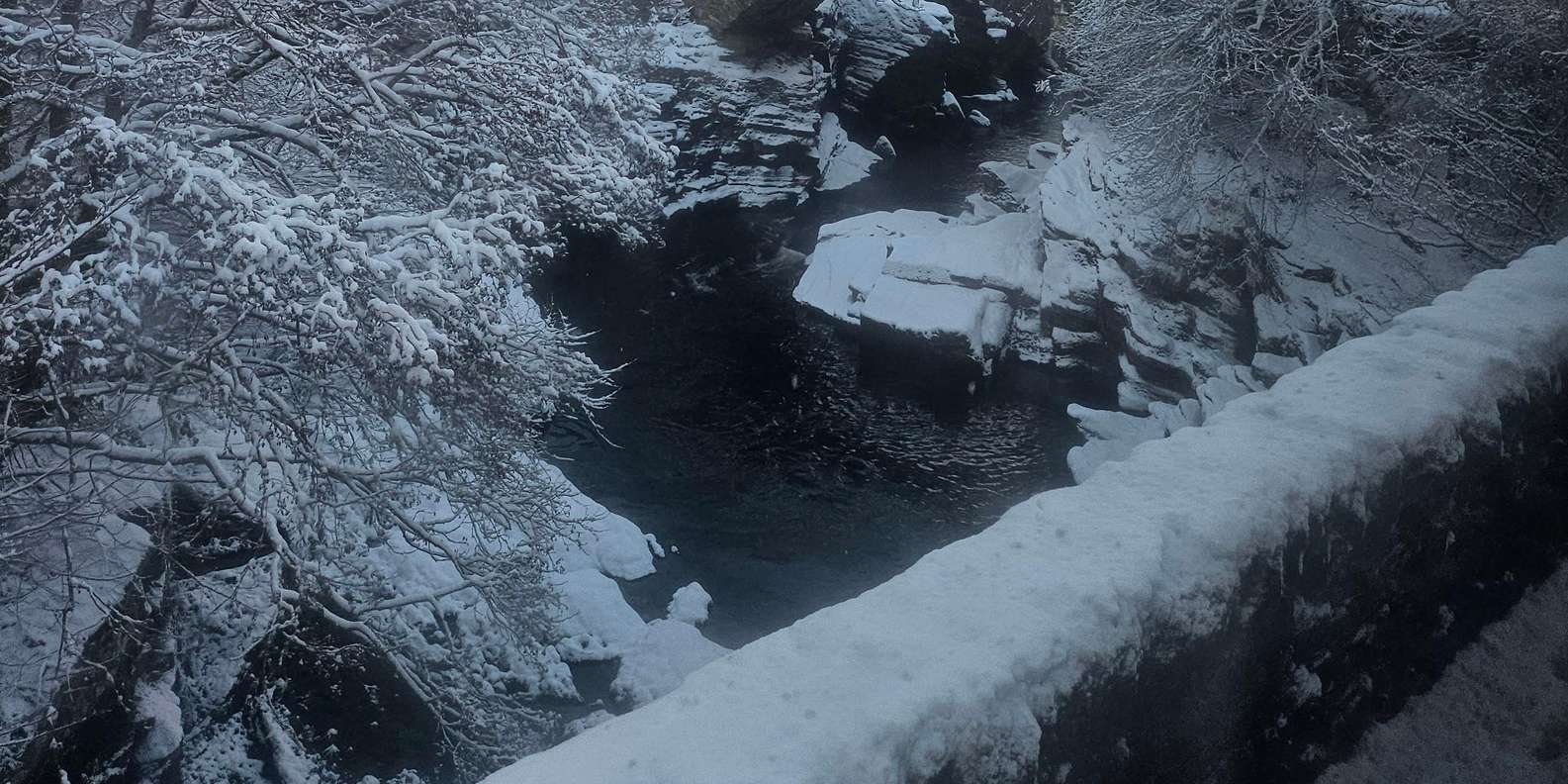 Guest photo from review