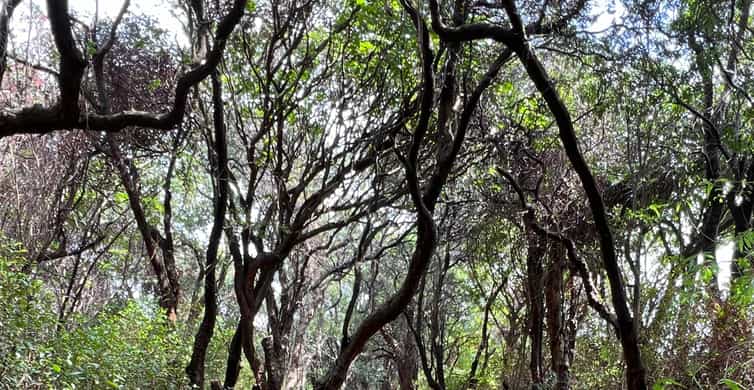 Colagem de mídia