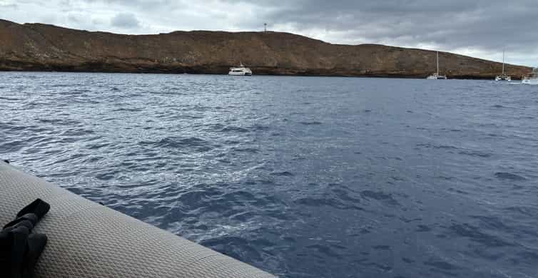 Molokini Crater Snorkel & Whale Watching (Dec 15 – Mar 30)