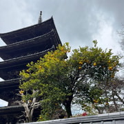 Segreti di Kyoto, esclusivo tour privato a piedi - Hizvo