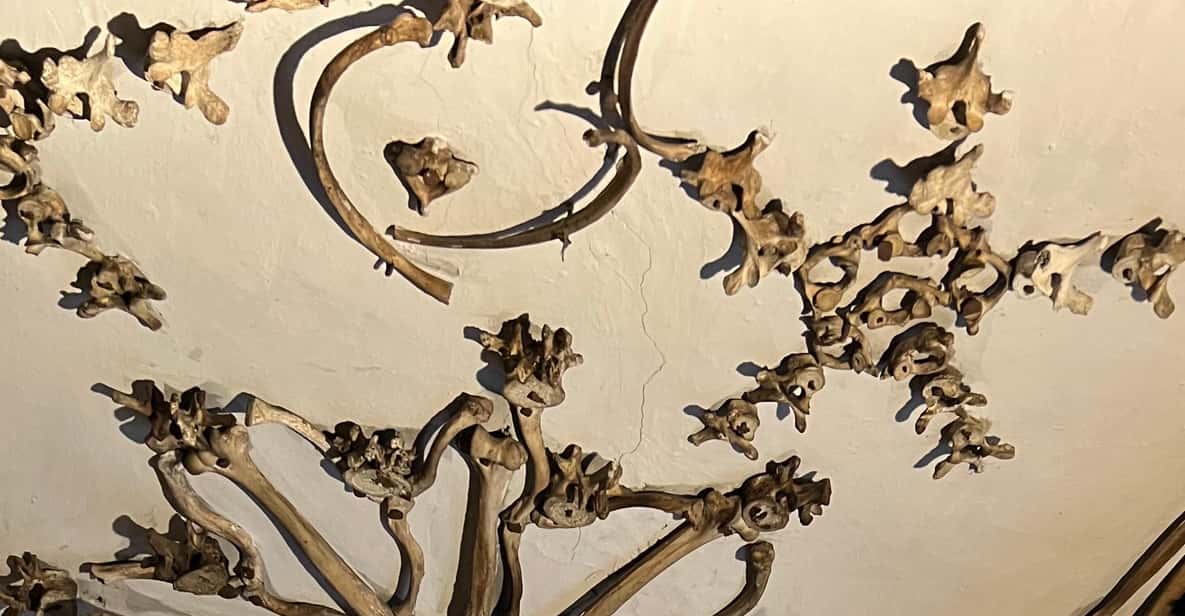 Ossuary Rome Rome: Capuchin Crypts and Museum Ticket and Tour | GetYourGuide
