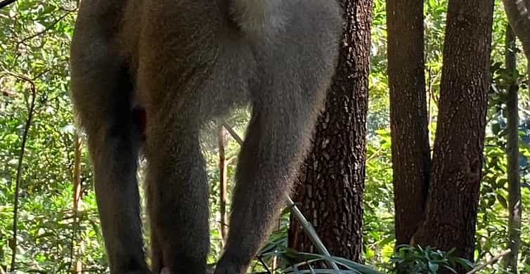 Colagem de mídia