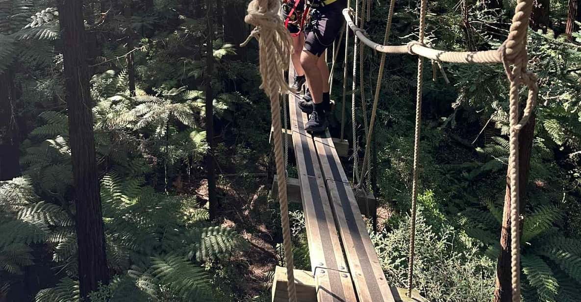 High Ropes Rotorua Rotorua: Redwoods Altitude High Ropes Adventure | GetYourGuide