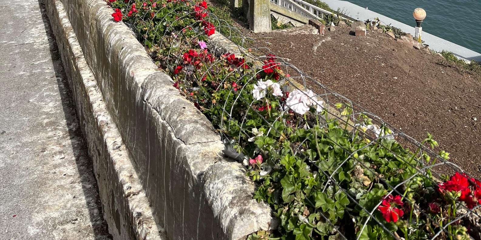 Guest photo from review
