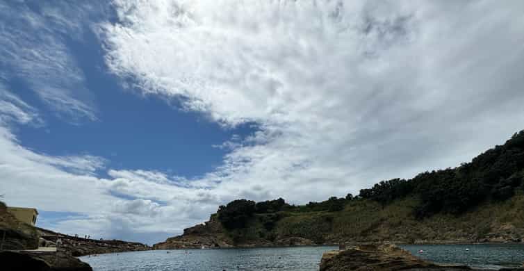 Colagem de mídia