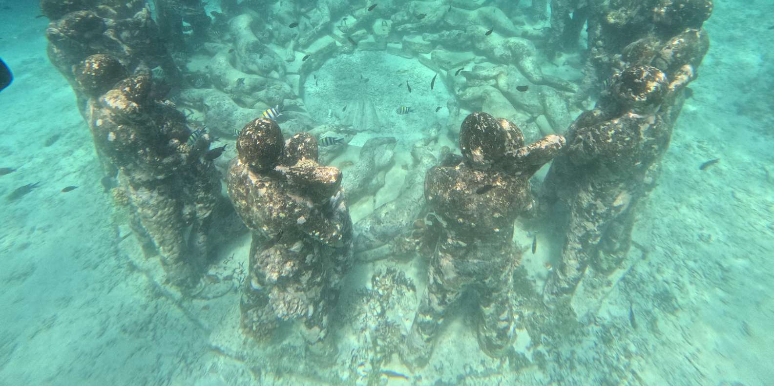 Guest photo from review