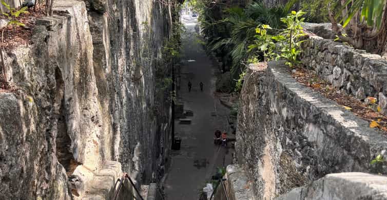 Galerie média