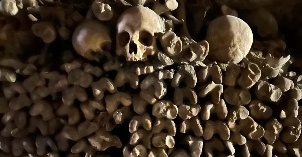 Galería de fotos para redes