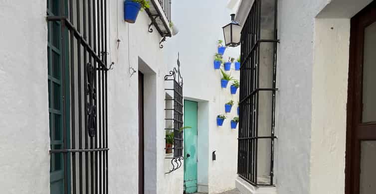 Galería de fotos para redes