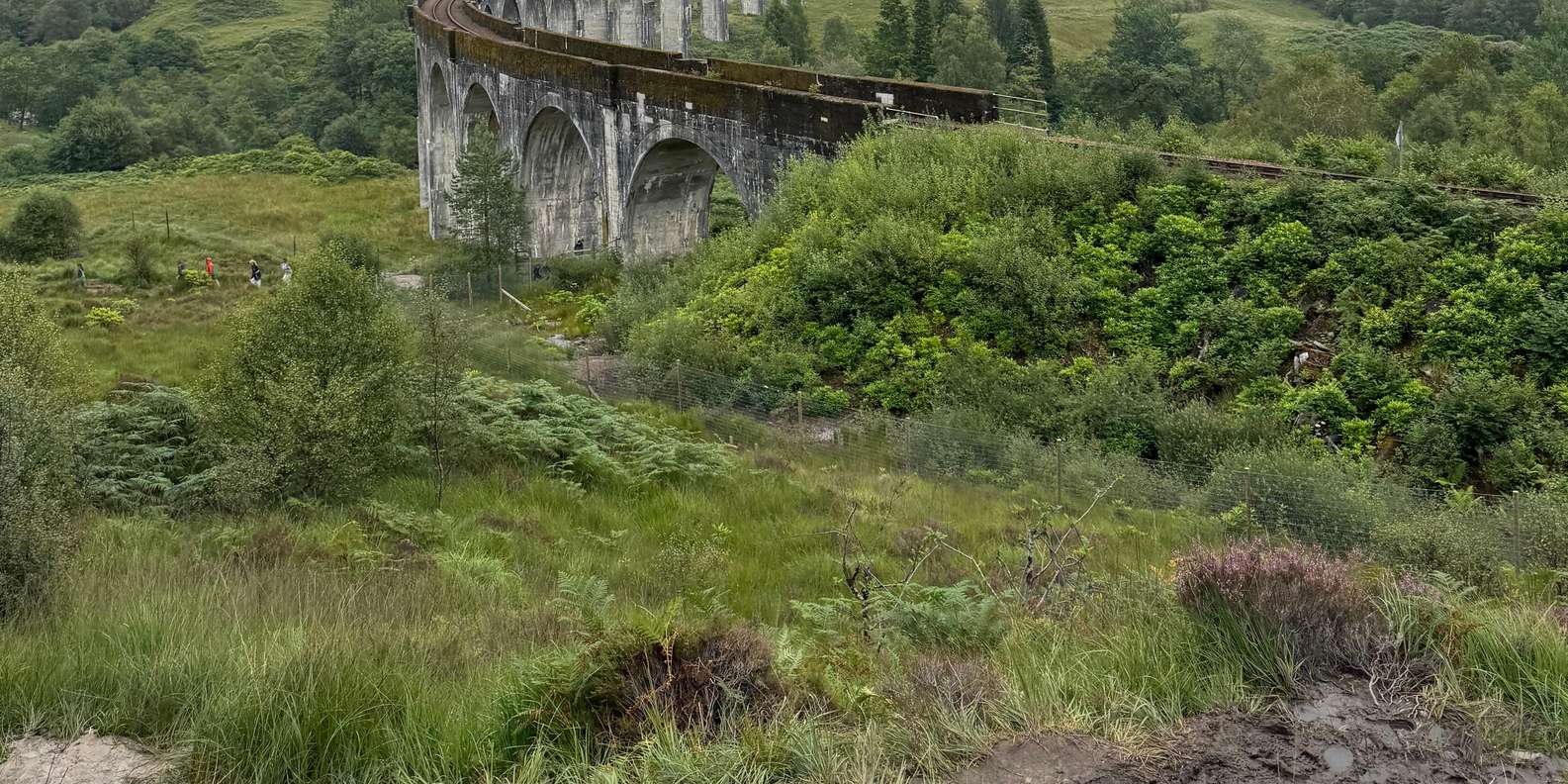 Guest photo from review
