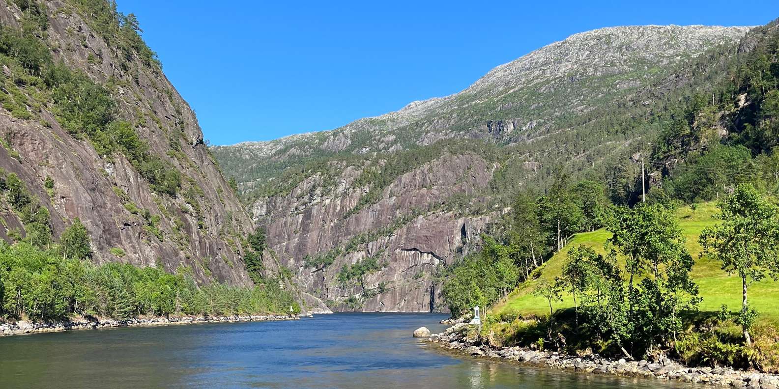Photo d'un voyageur issue d'un avis