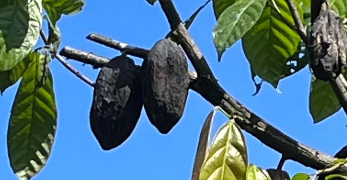 Colagem de mídia