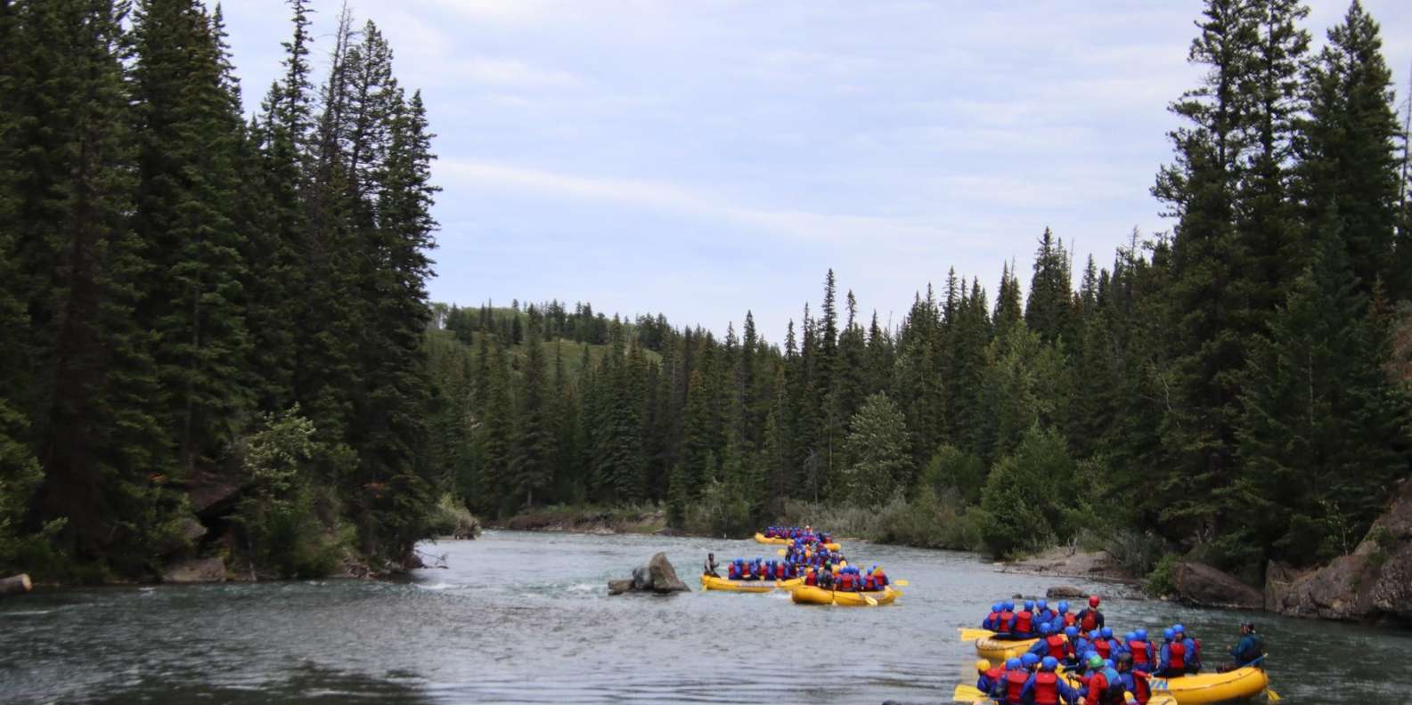 Guest photo from review