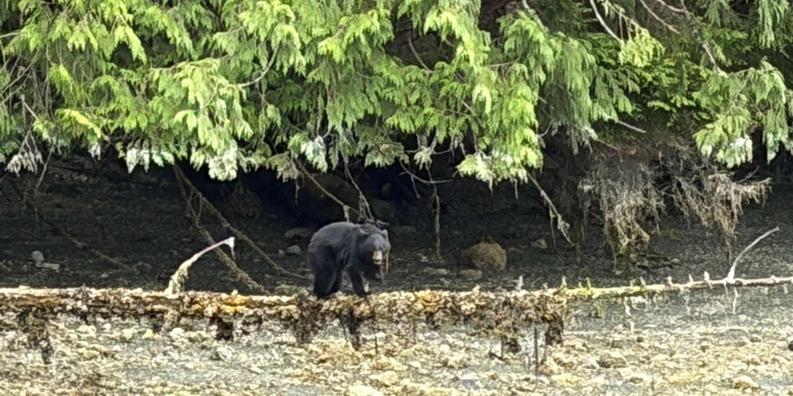 Guest photo from review