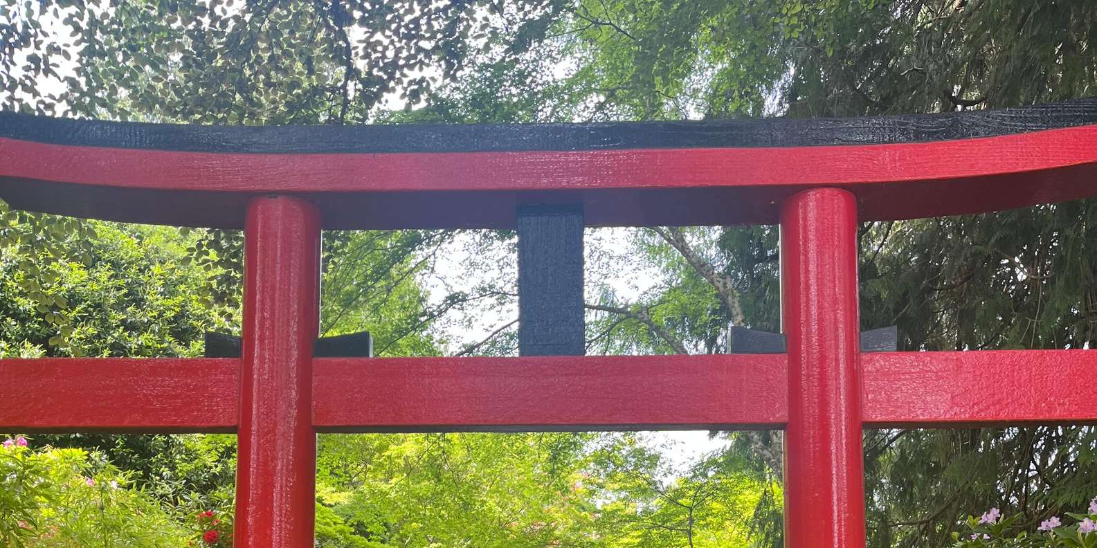 Guest photo from review