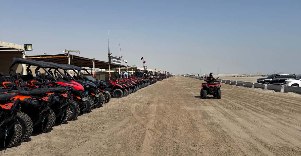 Doha Qatar Buggy ride, camel ride, dune bashing, sandboard. | GetYourGuide