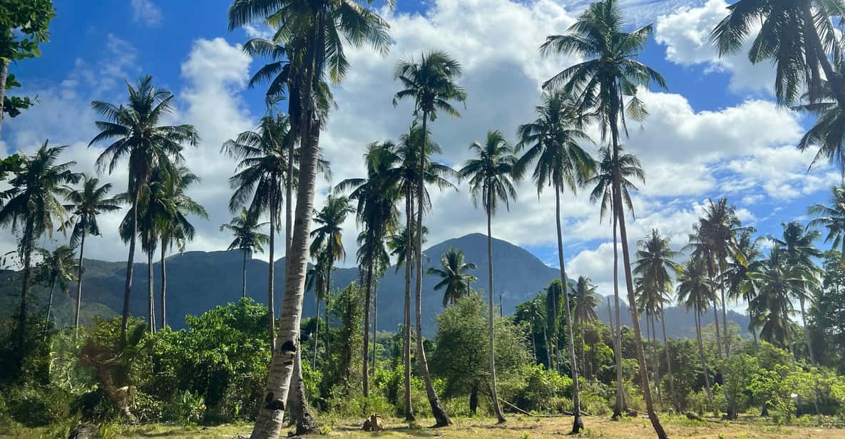 Puerto Princesa, Underground River und Glühwürmchen-Beobachtungstour - Hizvo