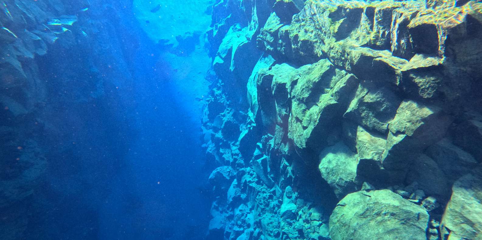 Guest photo from review