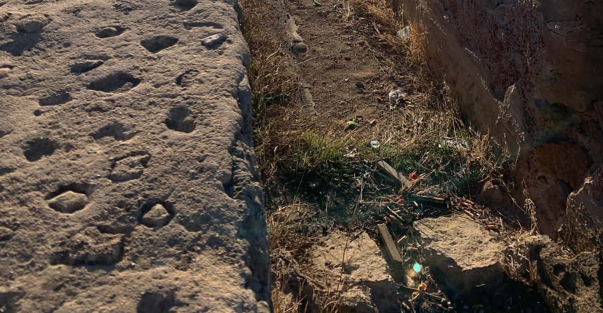 Carthage and Sidi Bou Said Tour