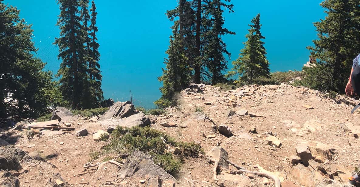 From Banff/Canmore: Moraine Lake & Lake Louise Experience