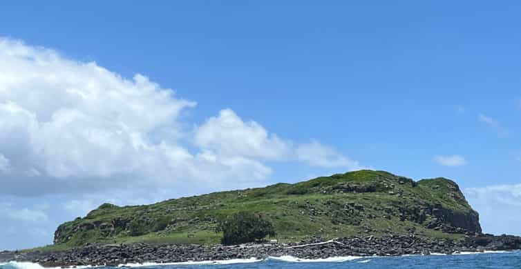 Colagem de mídia