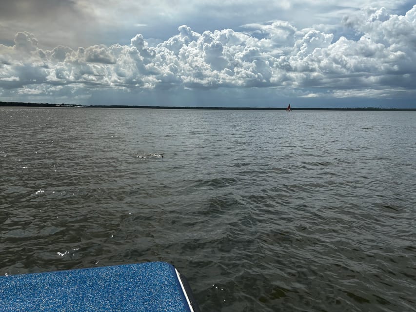 Orange Beach Dolphin Eco Boat Tour