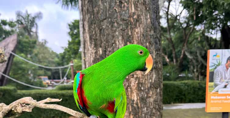 Colagem de mídia