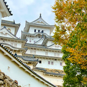 姫路城　古材　骨董　Himeji castle 姫路：姫路城ガイドツアー - ユネスコ文化遺産 | GetYourGuide