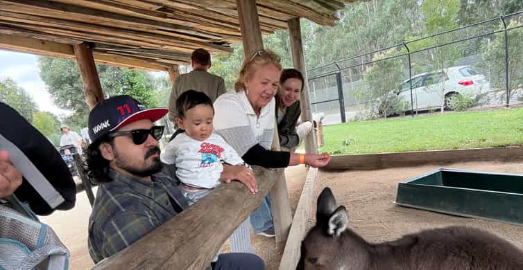 Galería de fotos para redes