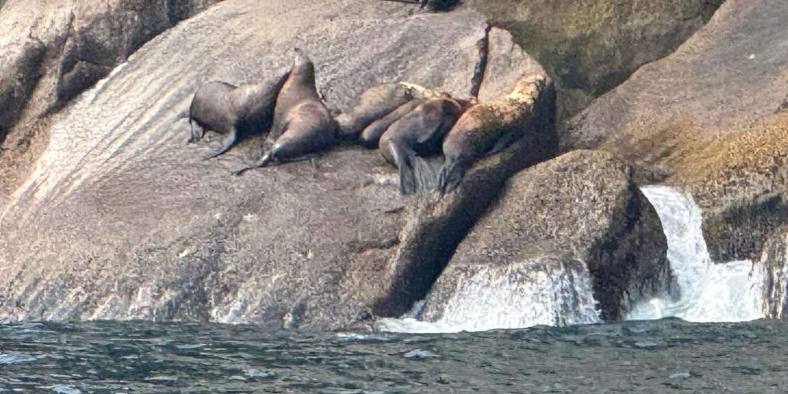 Guest photo from review