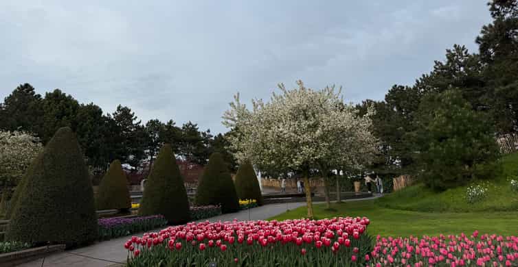 Mediencollage