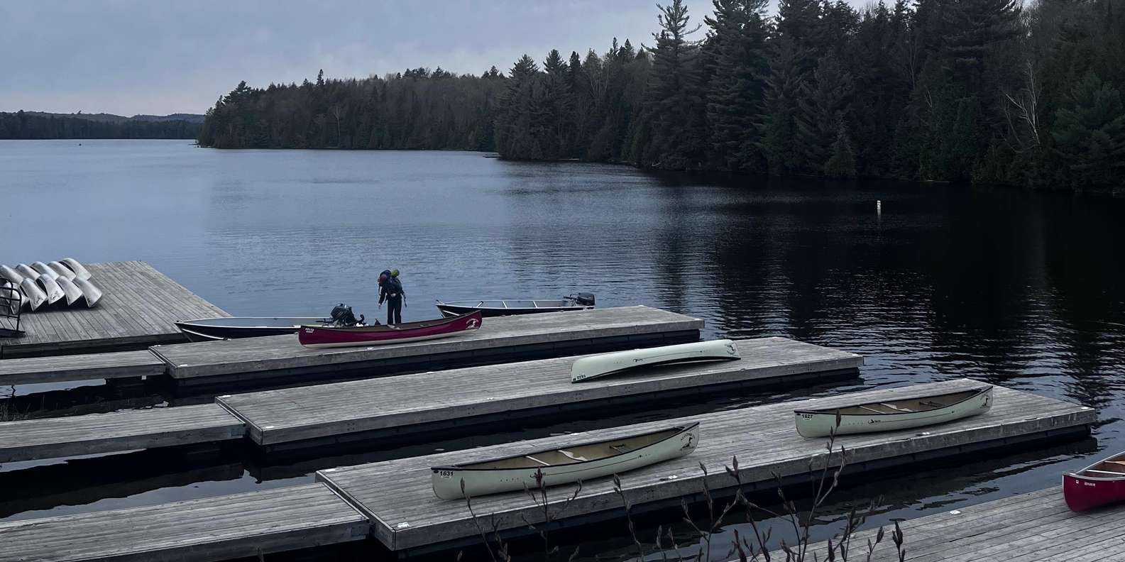 Guest photo from review