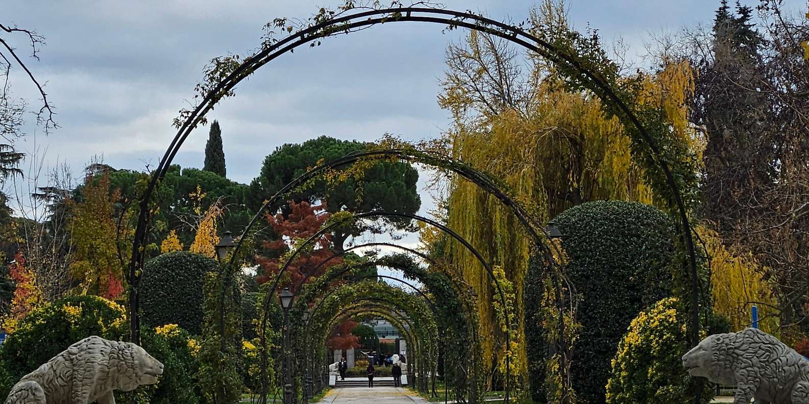 Guest photo from review