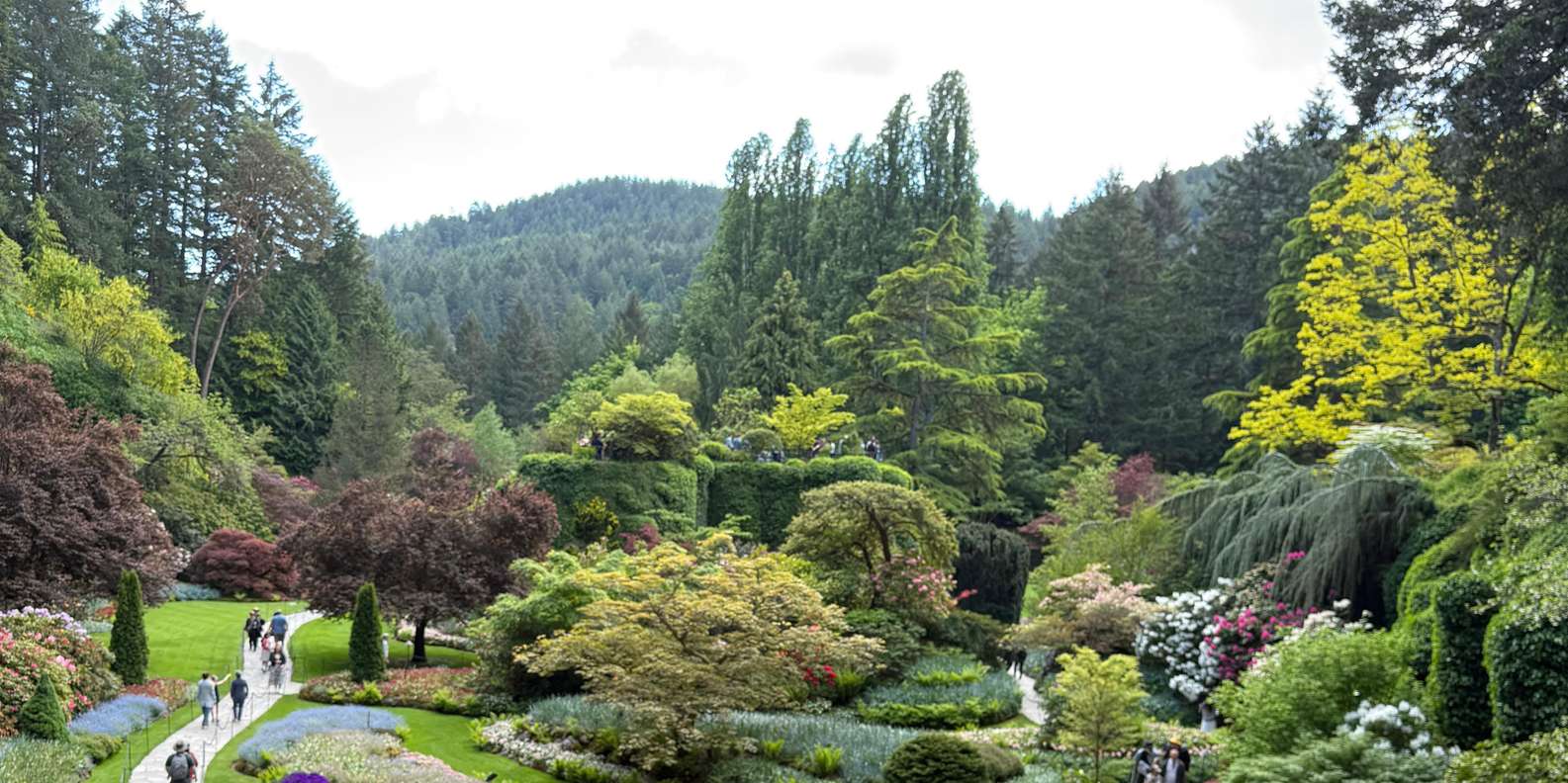 Guest photo from review