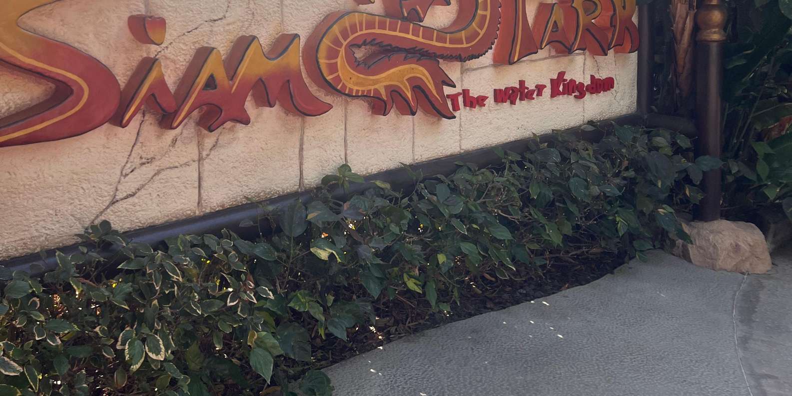 Guest photo from review