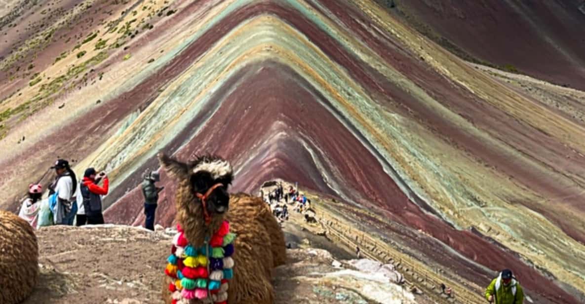 Galería de fotos para redes