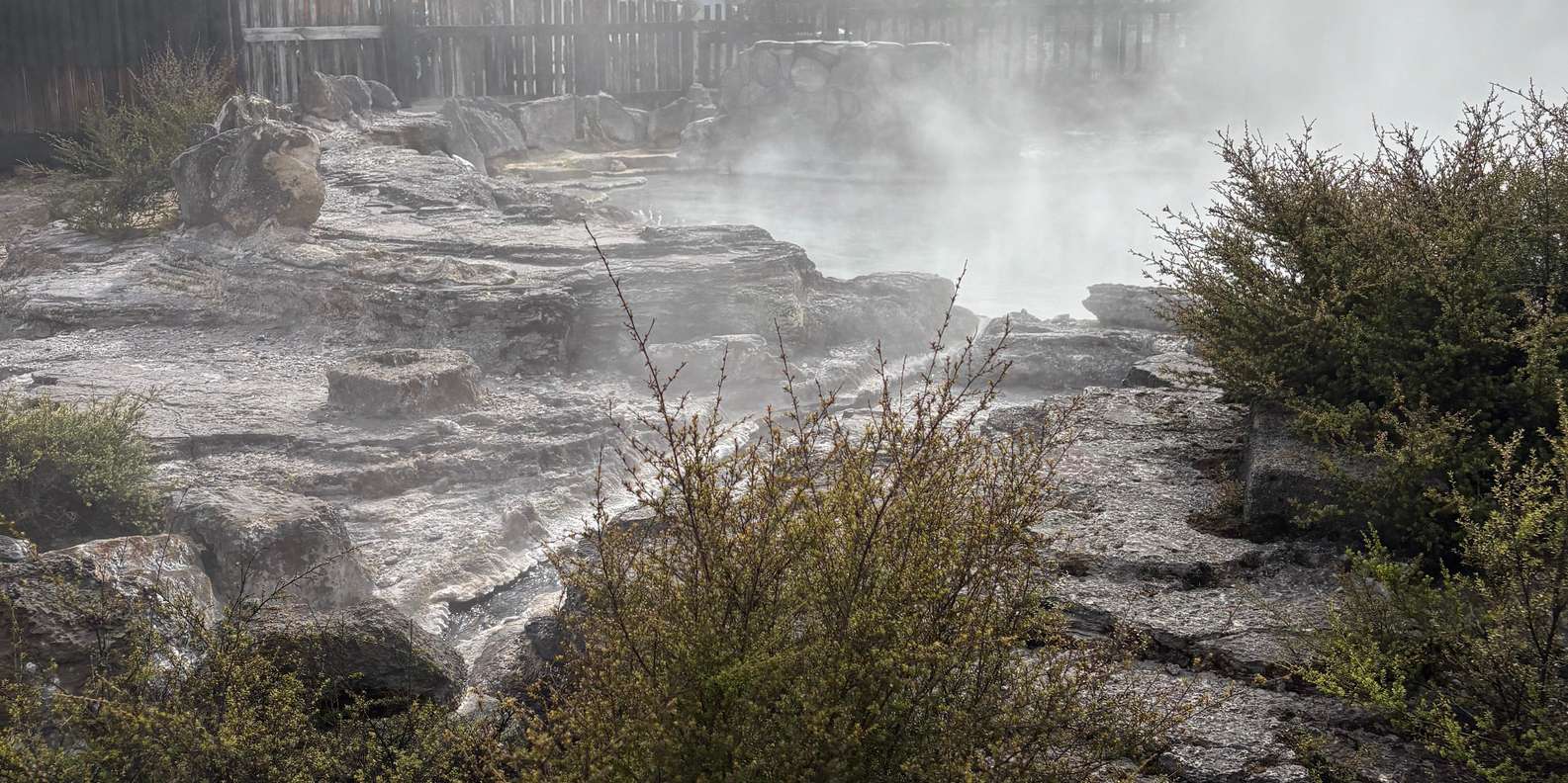 Guest photo from review