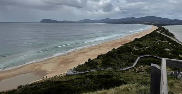Signature Bruny Island Tour - Hobart & SE Tasmania