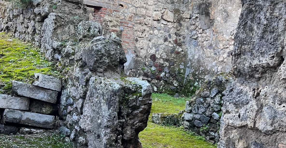Galería de fotos para redes
