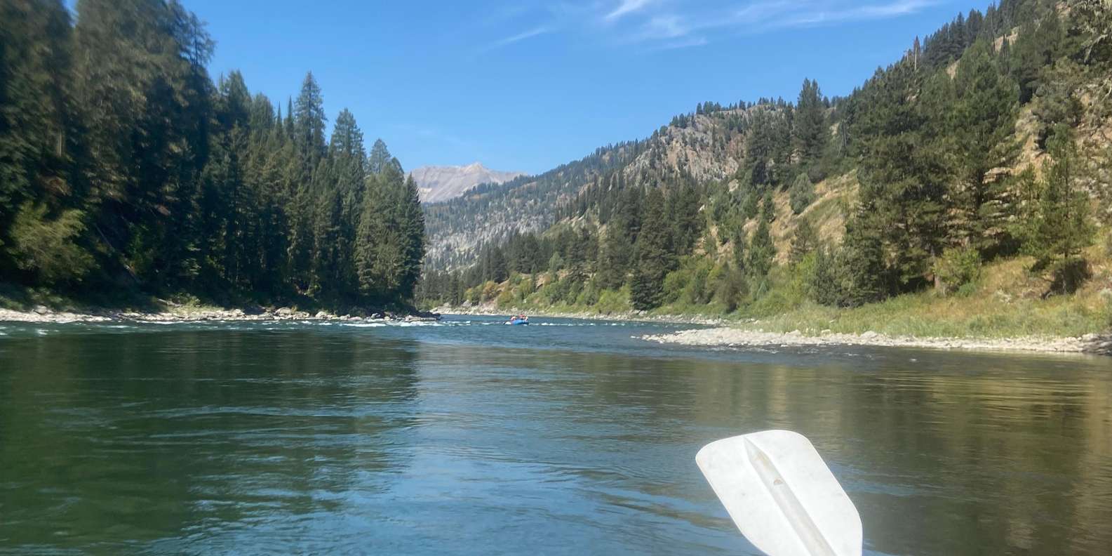 Guest photo from review