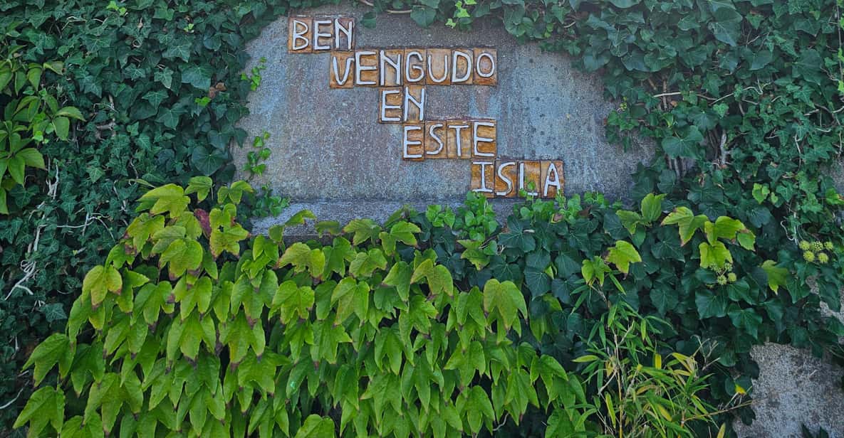 Colagem de mídia