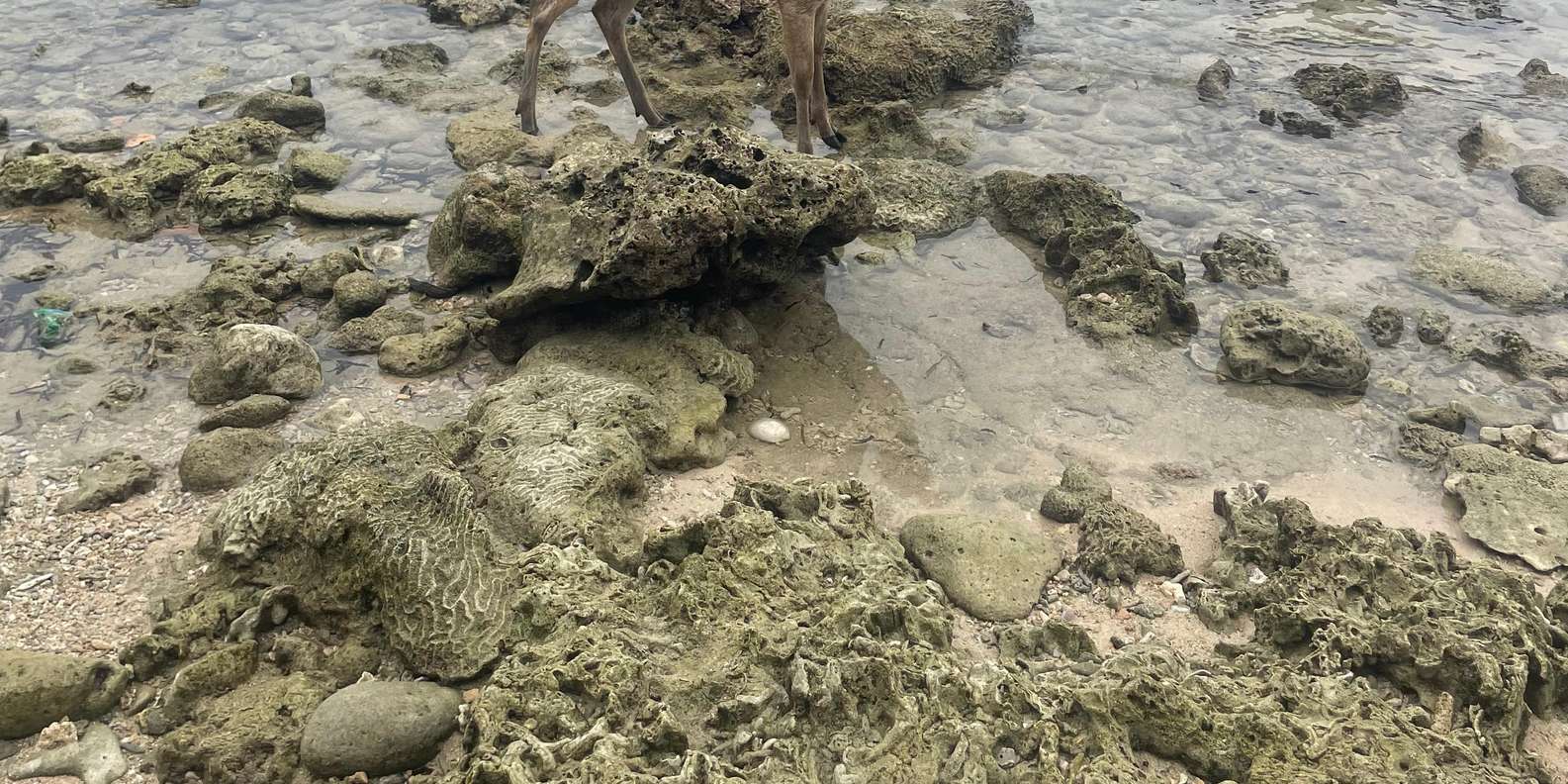Guest photo from review