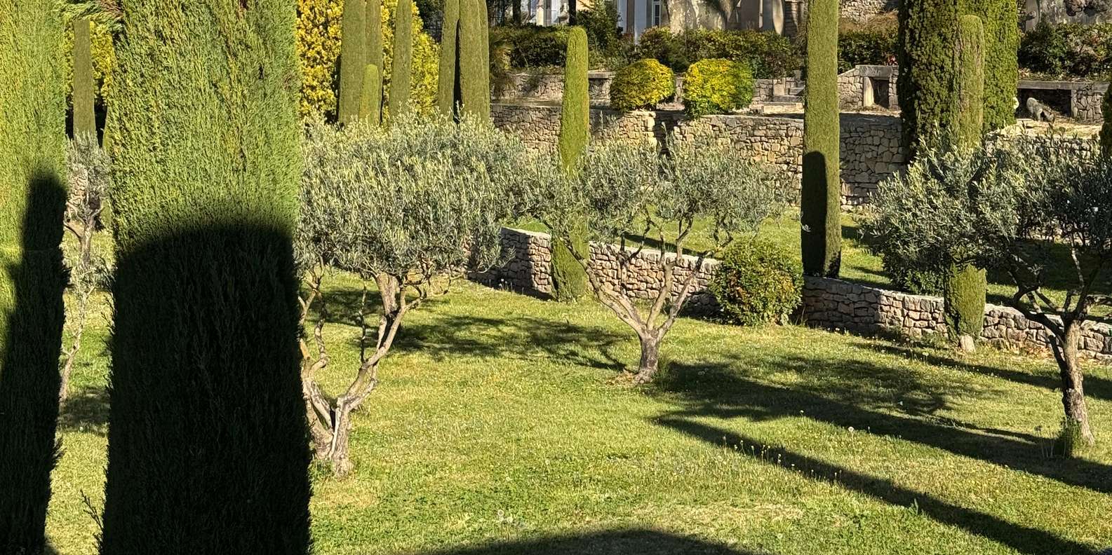 Guest photo from review