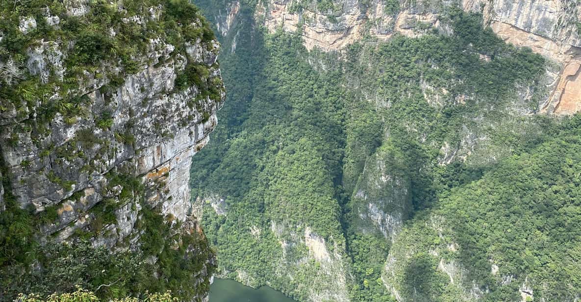 Galería de fotos para redes