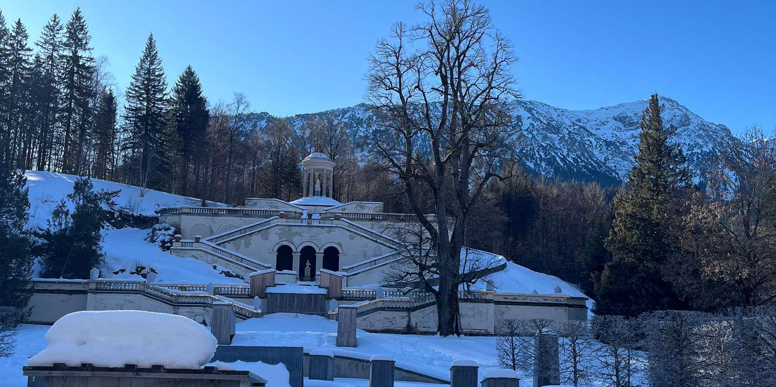 Foto di un viaggiatore da una recensione