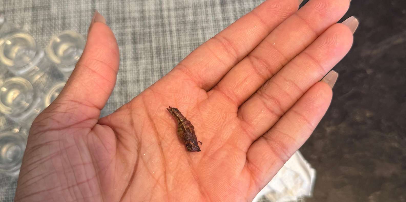 Guest photo from review
