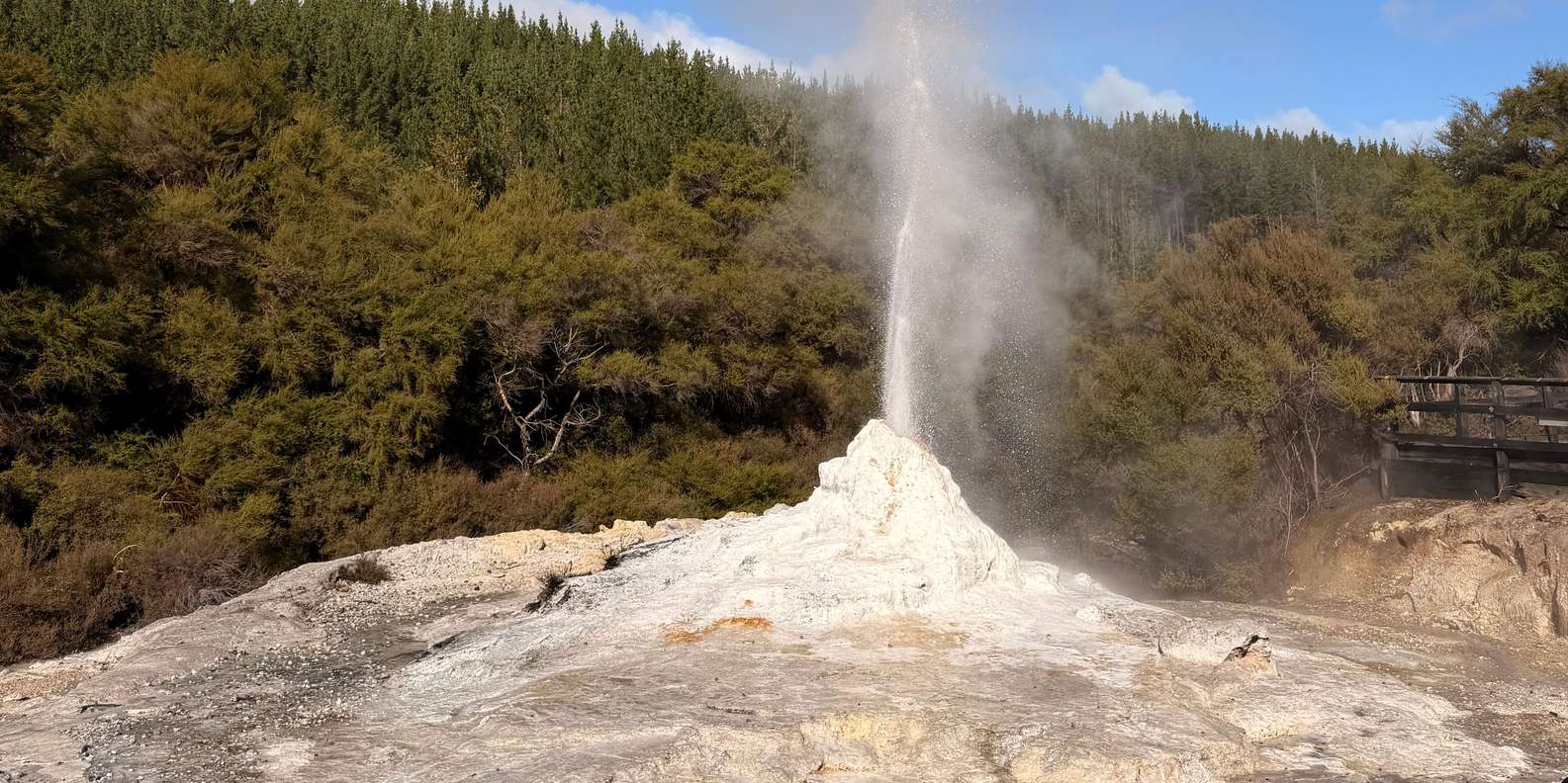 Guest photo from review