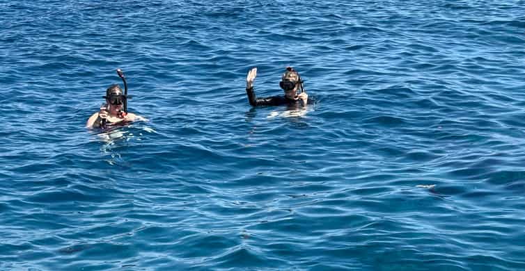 Molokini Crater Snorkel & Whale Watching (Dec 15 – Mar 30)