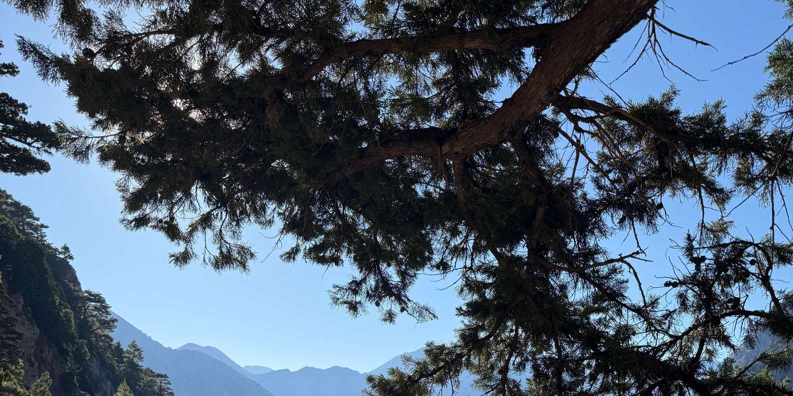 Guest photo from review